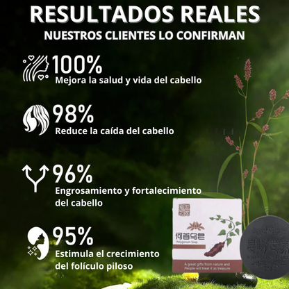 JABON EN BARRA EXTRACTO DE POLYGONUM ORIGINAL 🔥