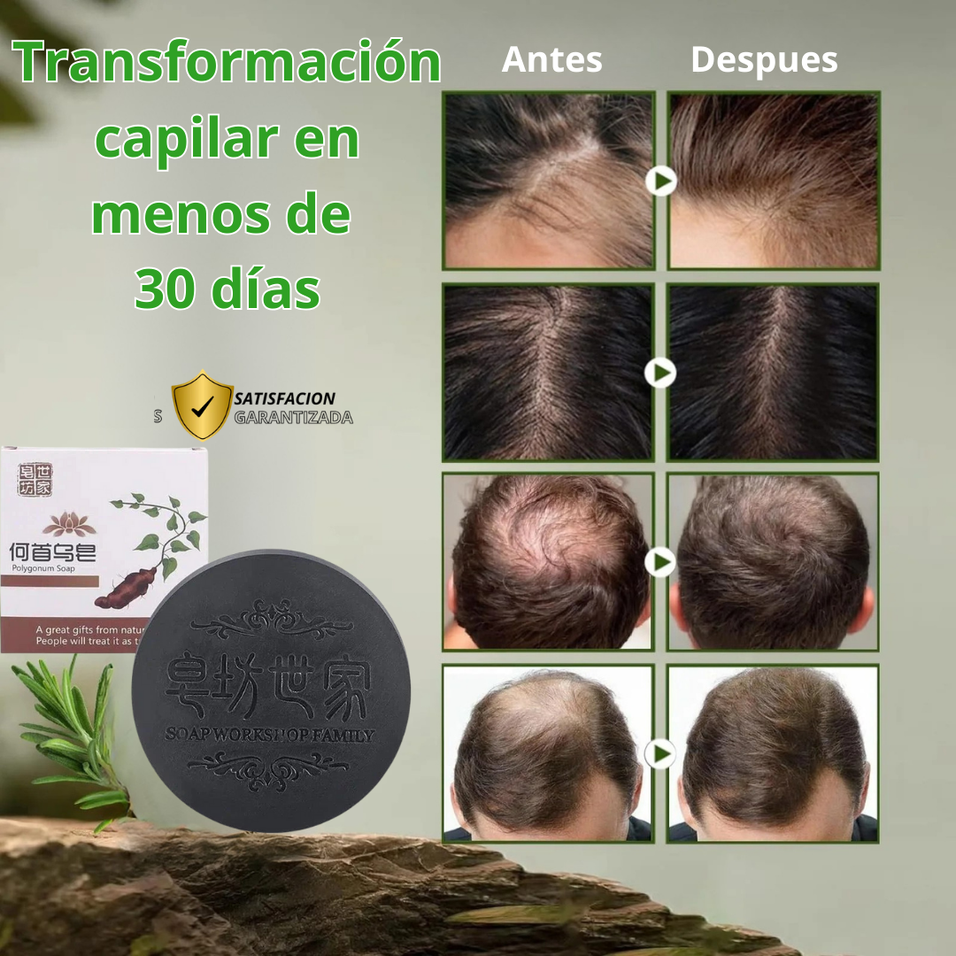 JABON EN BARRA EXTRACTO DE POLYGONUM ORIGINAL 🔥